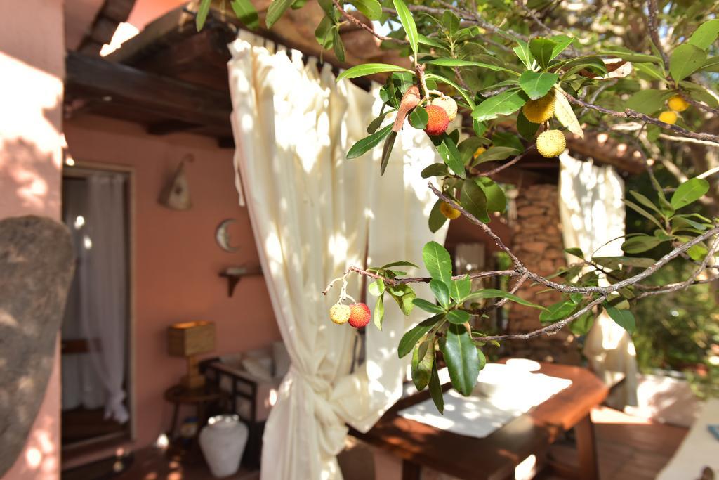 Bed & Breakfast Yin & Yang San Pantaleo Ngoại thất bức ảnh